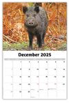 2026 International Wildlife wall calendar