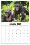 2026 International Wildlife wall calendar