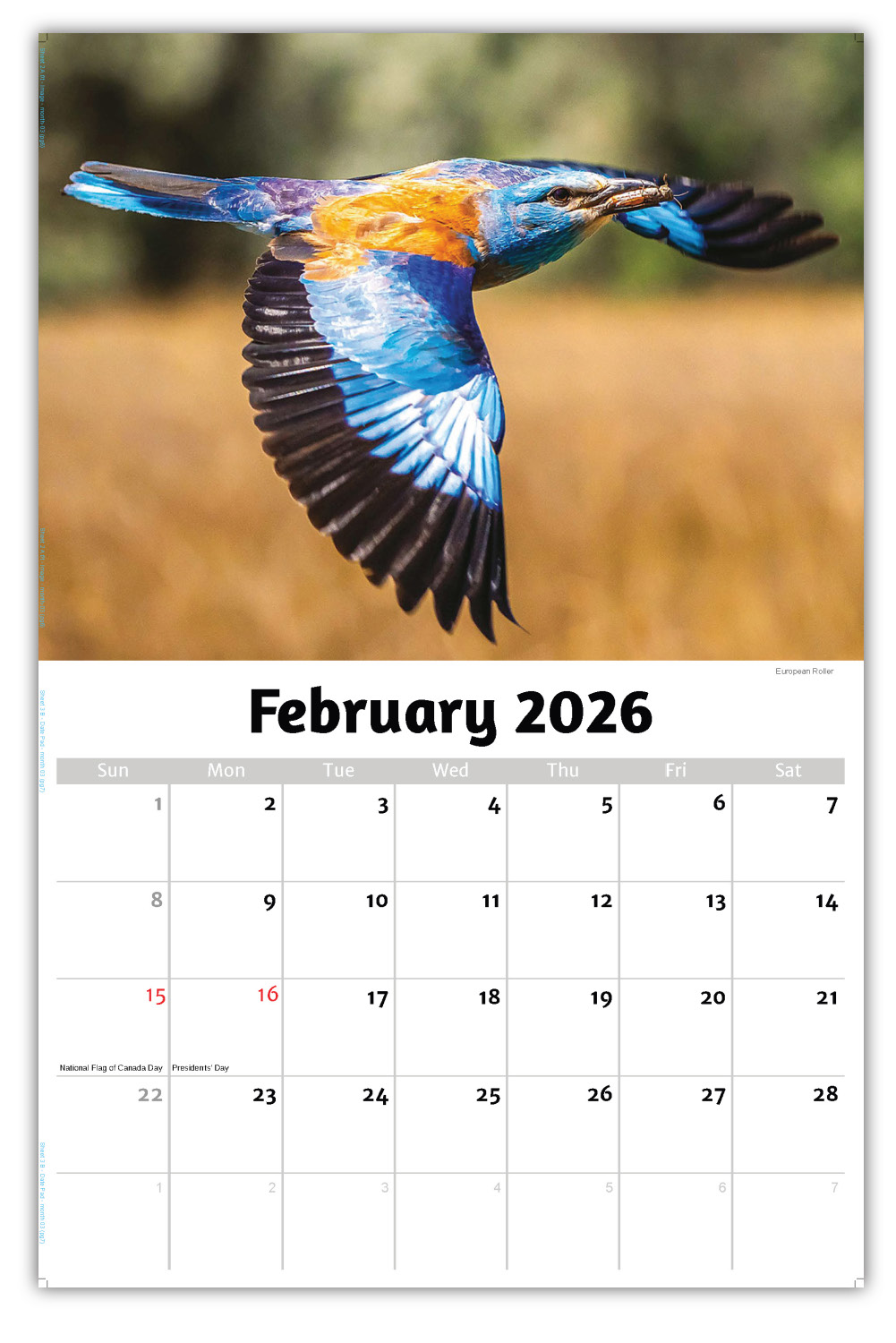 2026 International Wildlife wall calendar