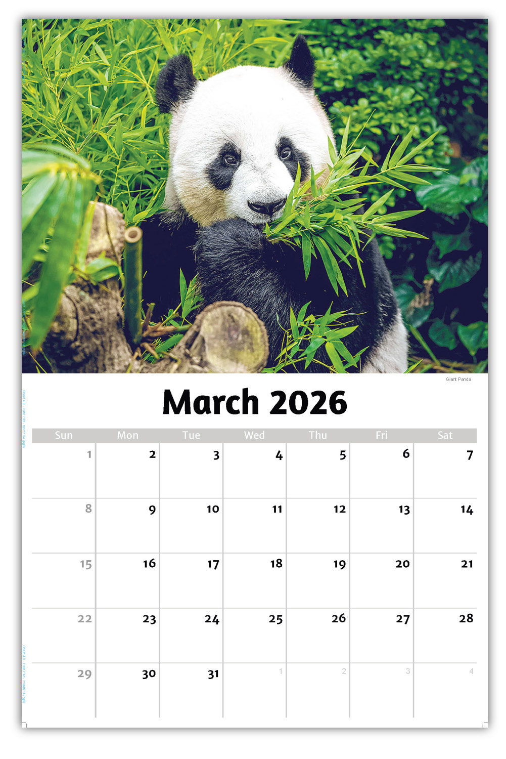 2026 International Wildlife wall calendar