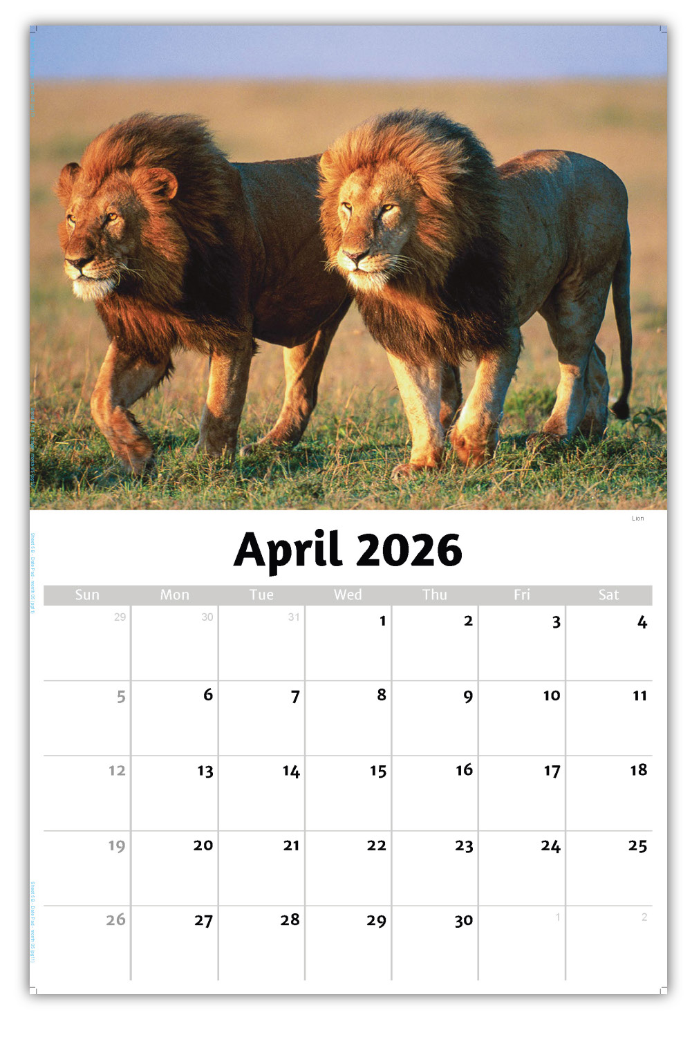 2026 International Wildlife wall calendar