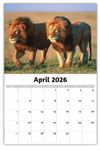 2026 International Wildlife wall calendar