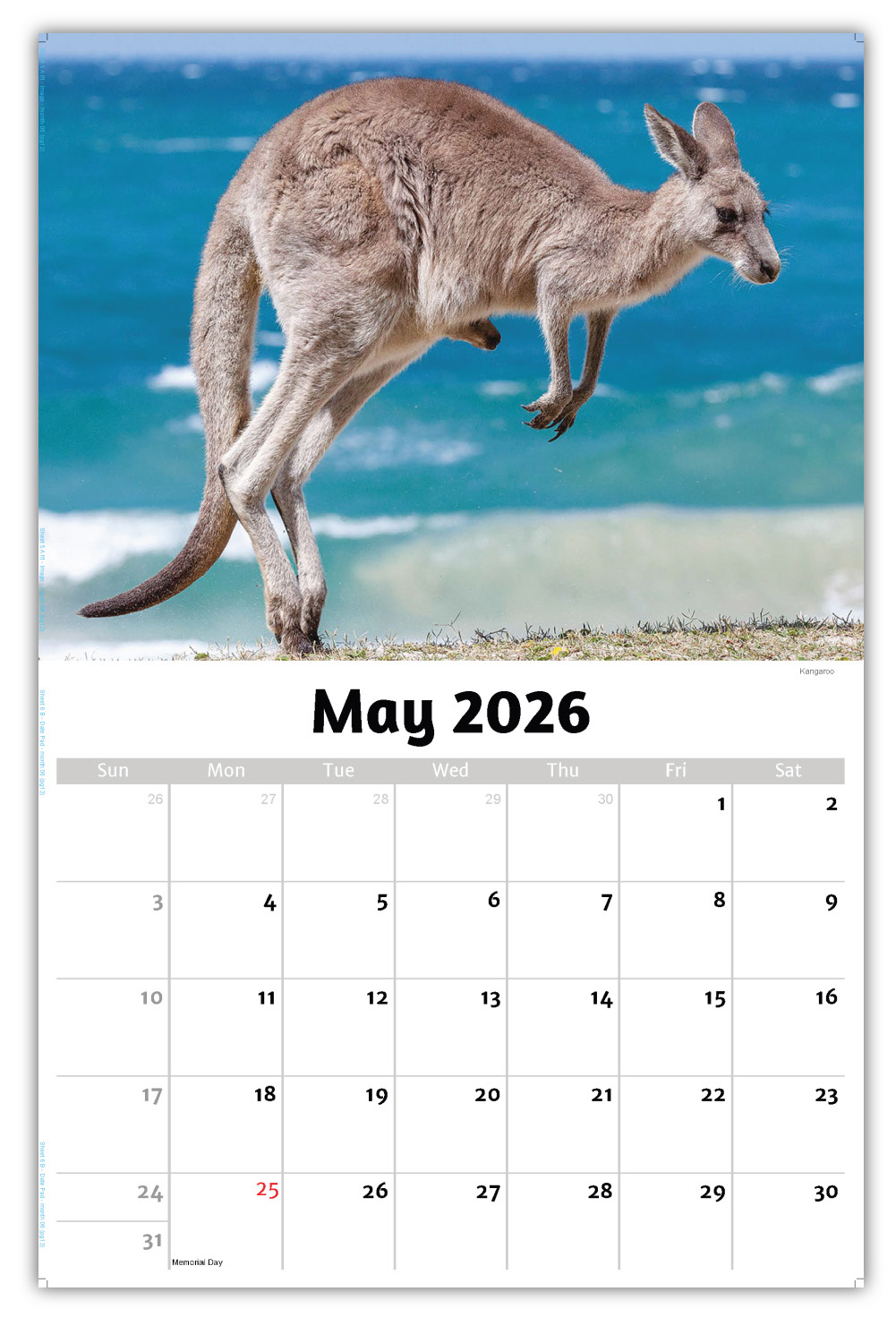 2026 International Wildlife wall calendar