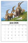 2026 International Wildlife wall calendar