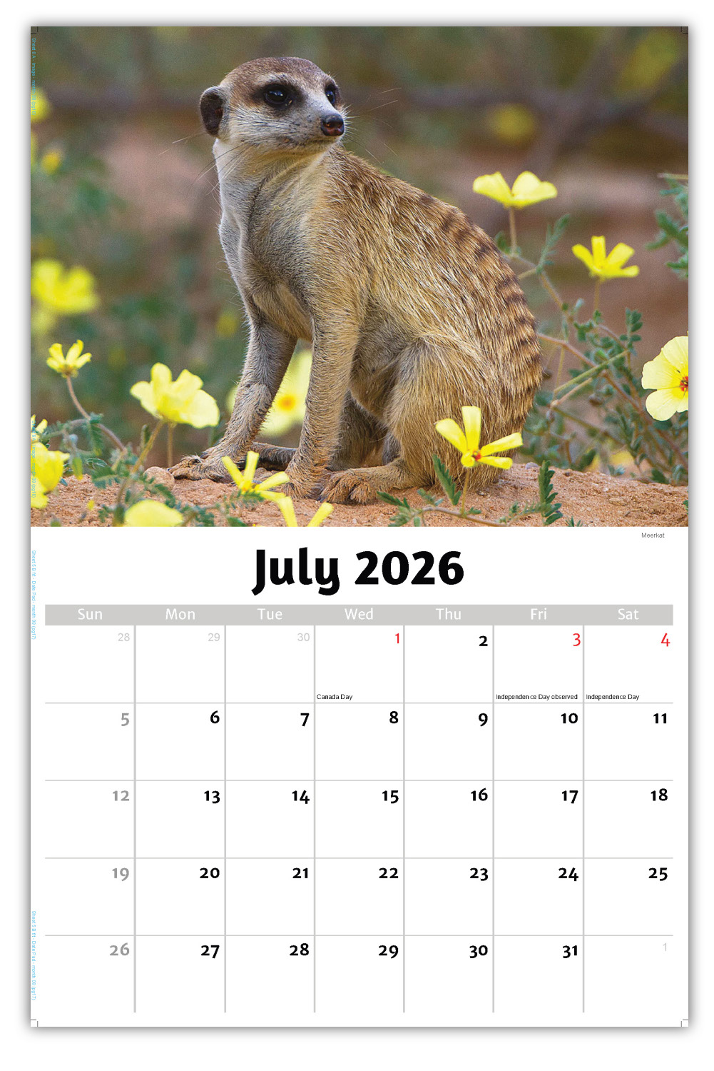 2026 International Wildlife wall calendar