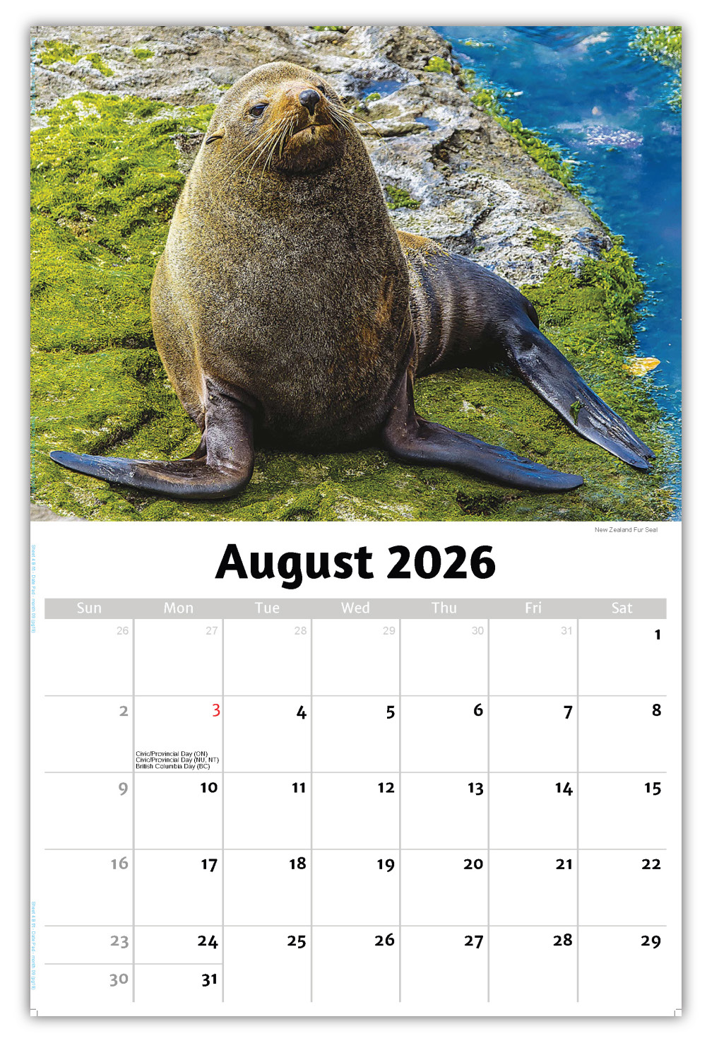 2026 International Wildlife wall calendar