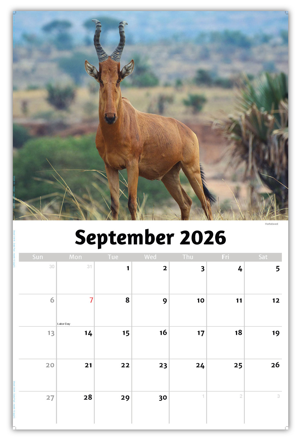 2026 International Wildlife wall calendar