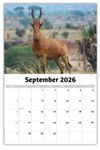 2026 International Wildlife wall calendar