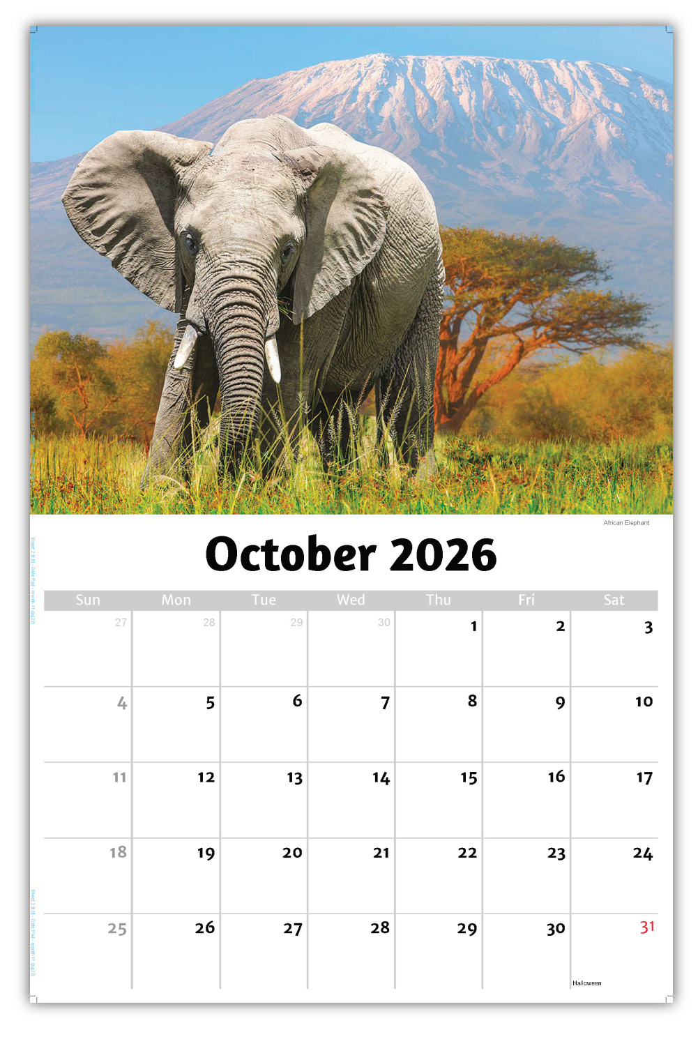 2026 International Wildlife wall calendar
