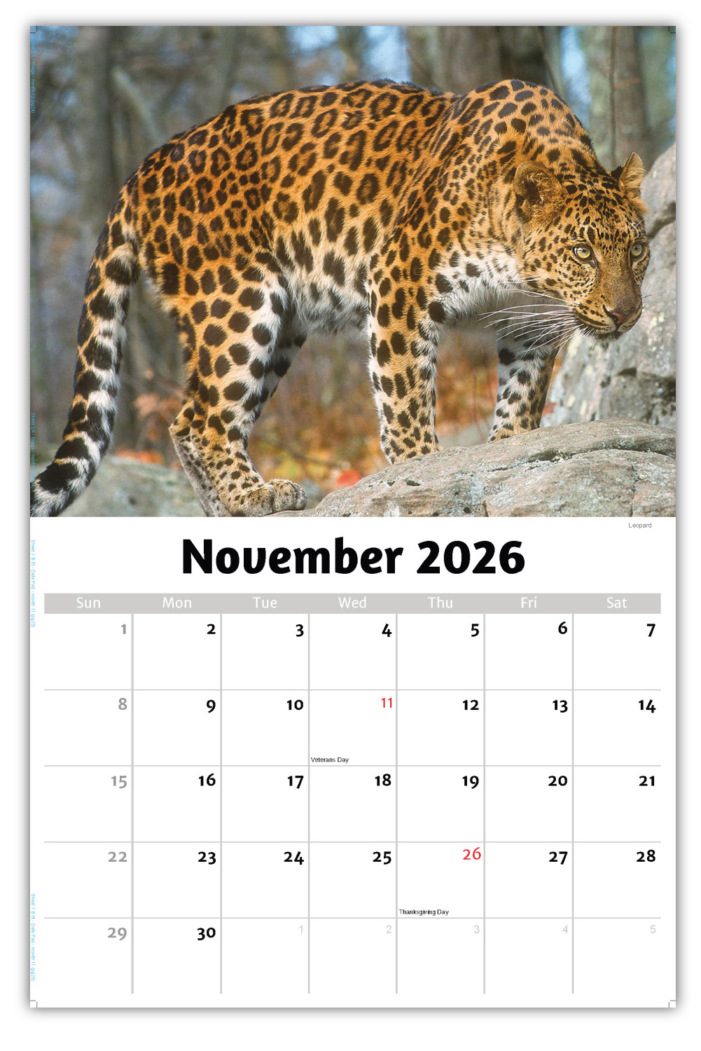 2026 International Wildlife wall calendar