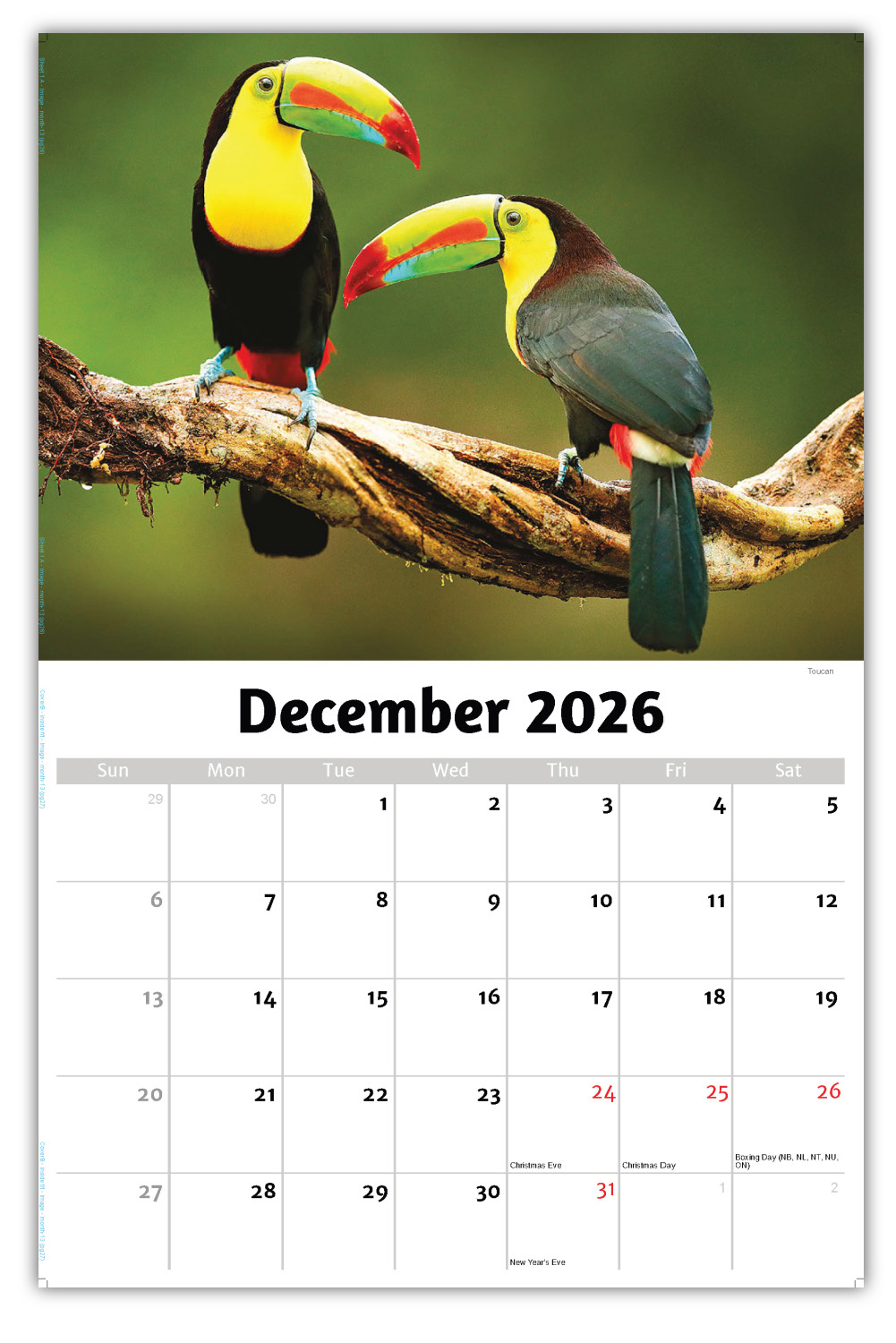2026 International Wildlife wall calendar