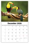 2026 International Wildlife wall calendar