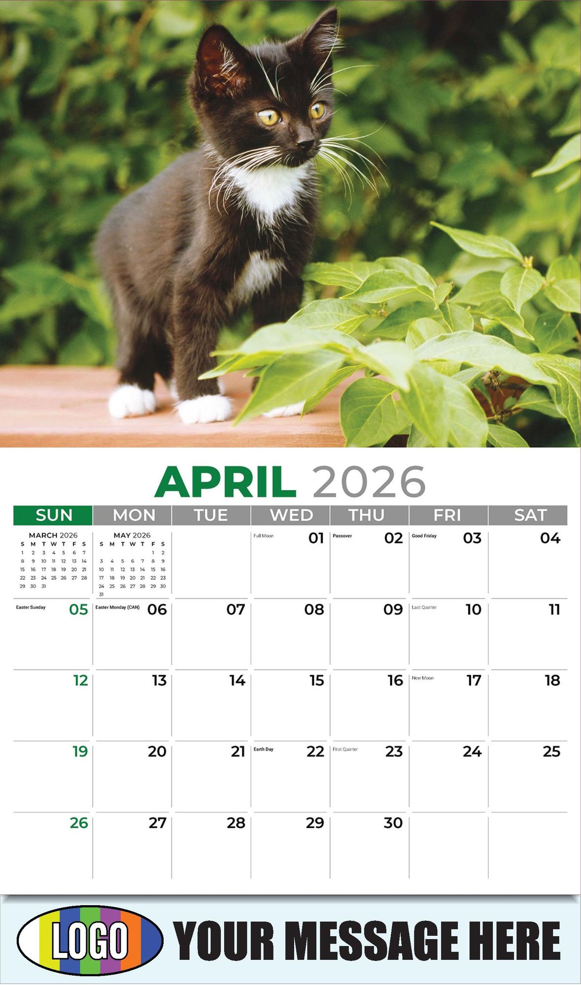 2026 Kittens Business Promotional Calendar