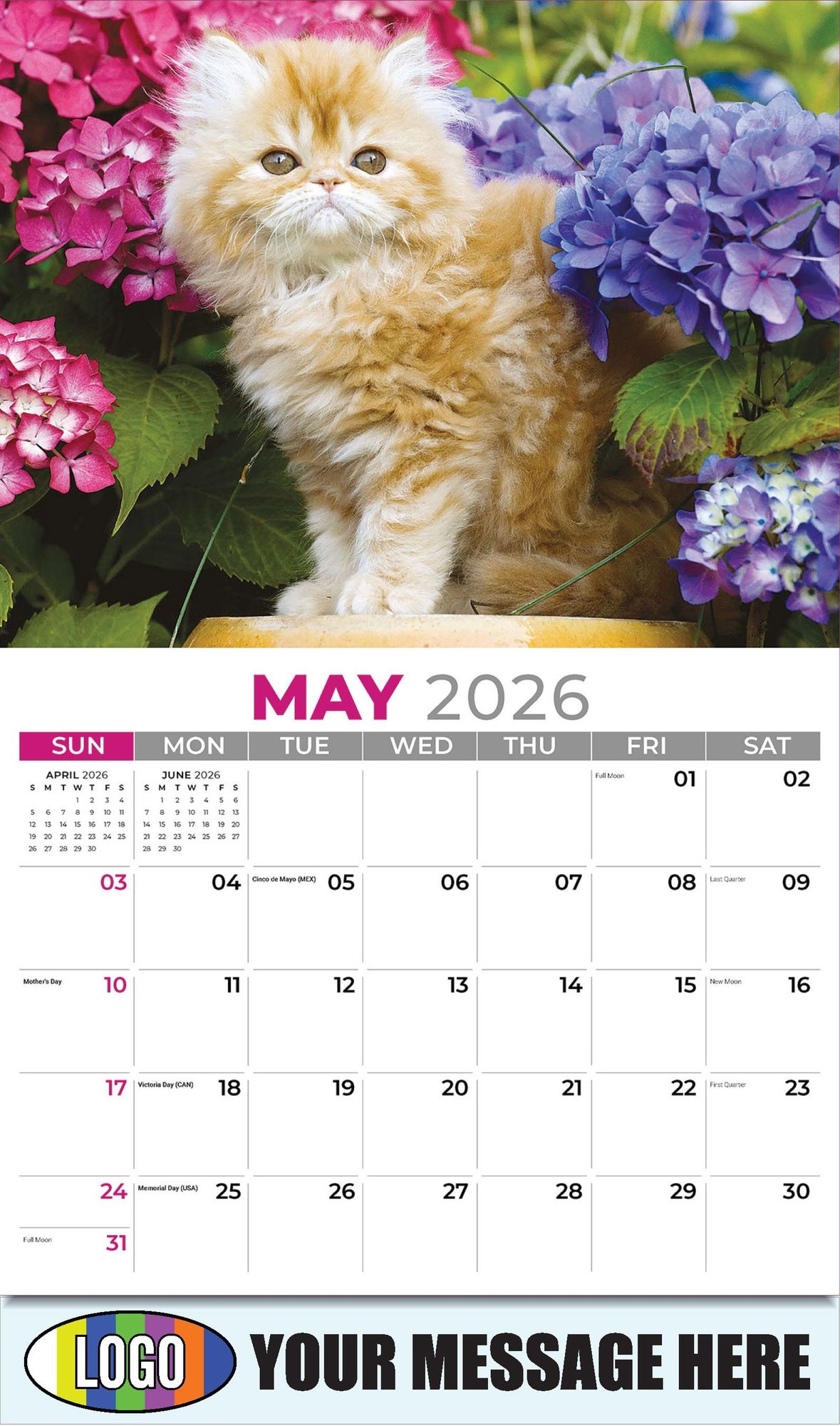 2026 Kittens Business Promotional Calendar