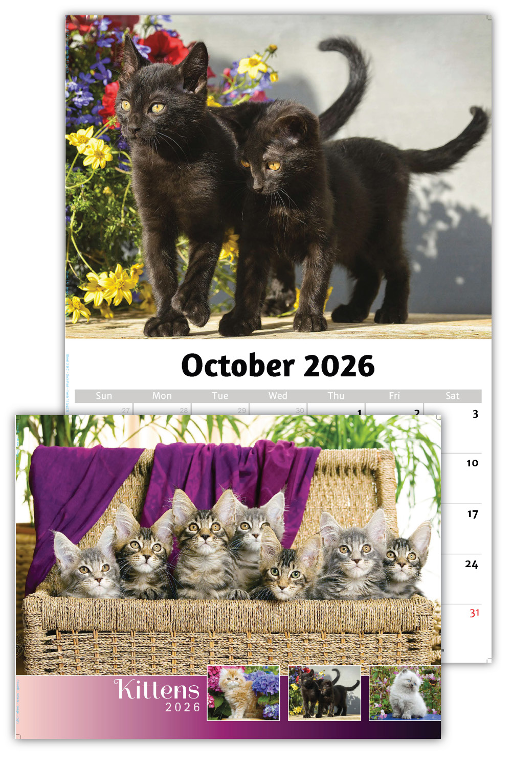 2026 Kittens wall calendar