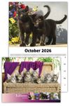 2026 Kittens wall calendar