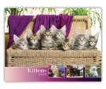 2026 Kittens wall calendar