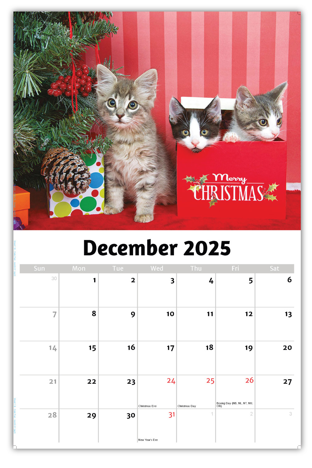 2026 Kittens wall calendar