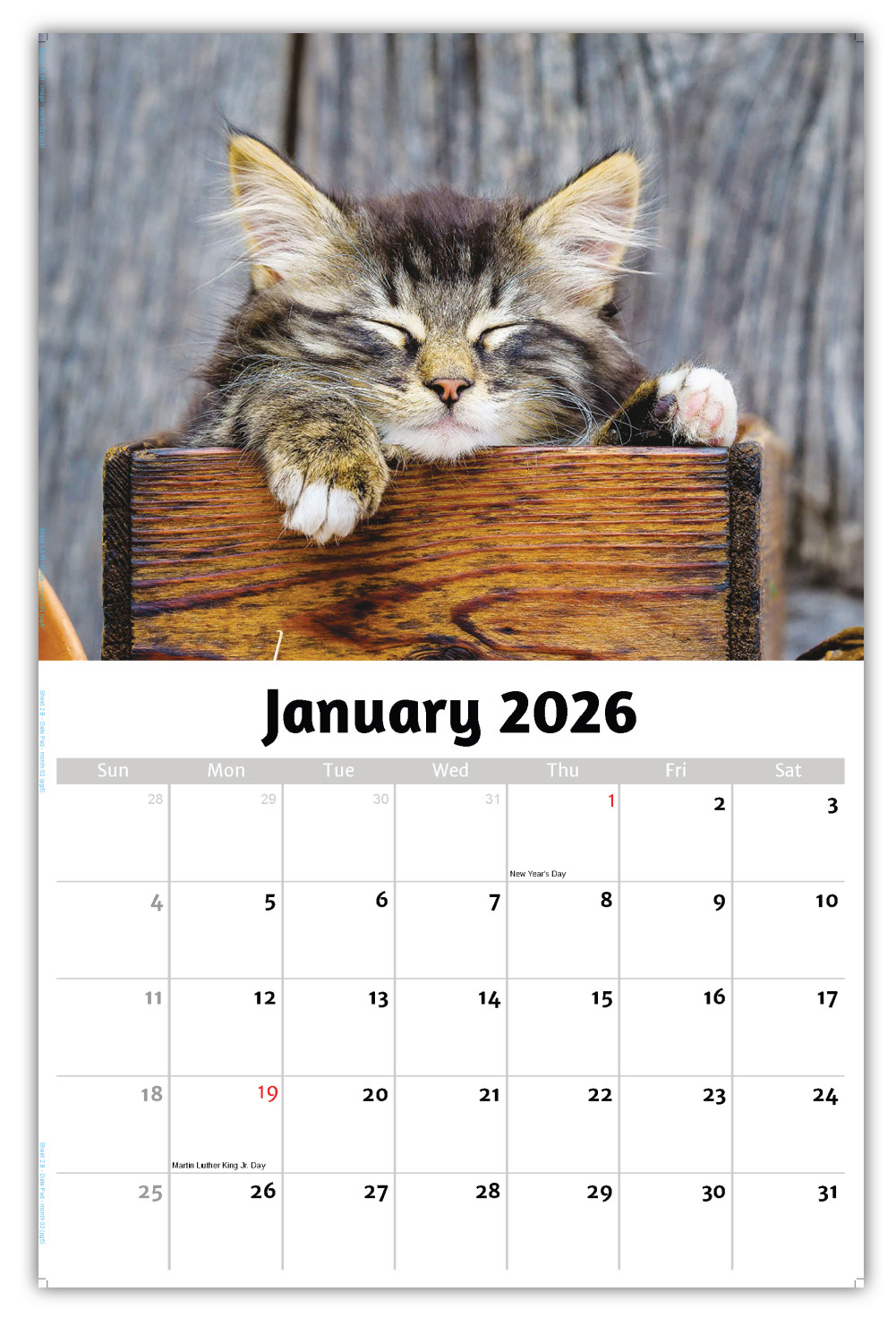 2026 Kittens wall calendar