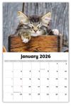 2026 Kittens wall calendar