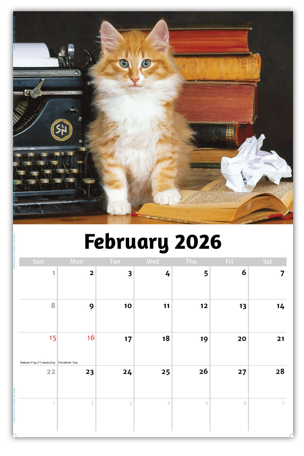 2026 Kittens wall calendar