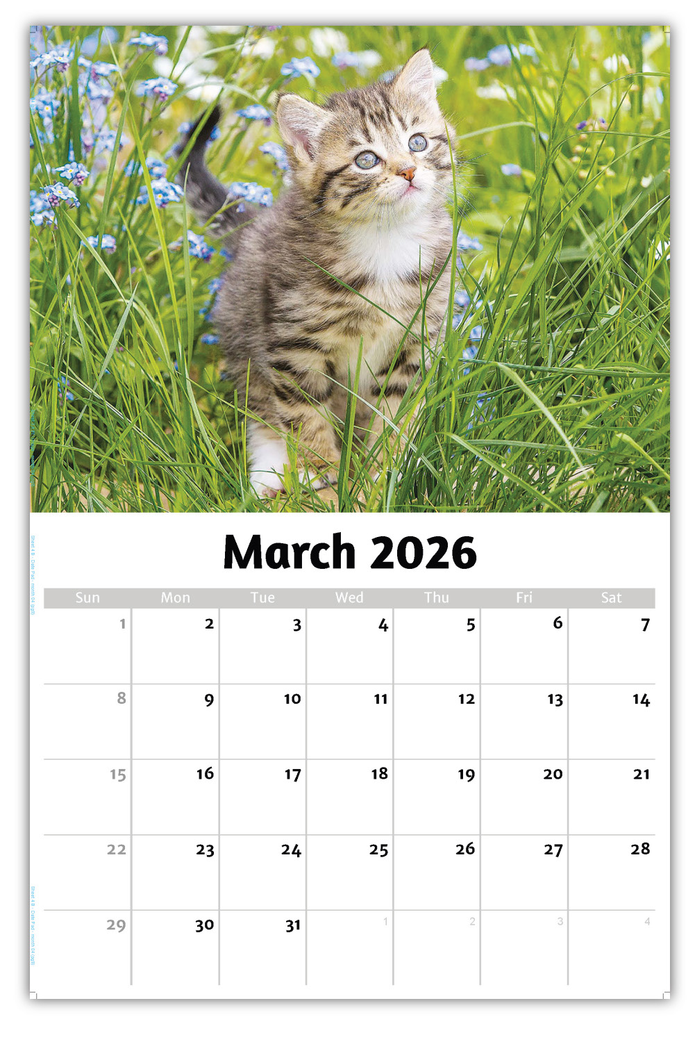 2026 Kittens wall calendar