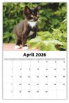 2026 Kittens wall calendar