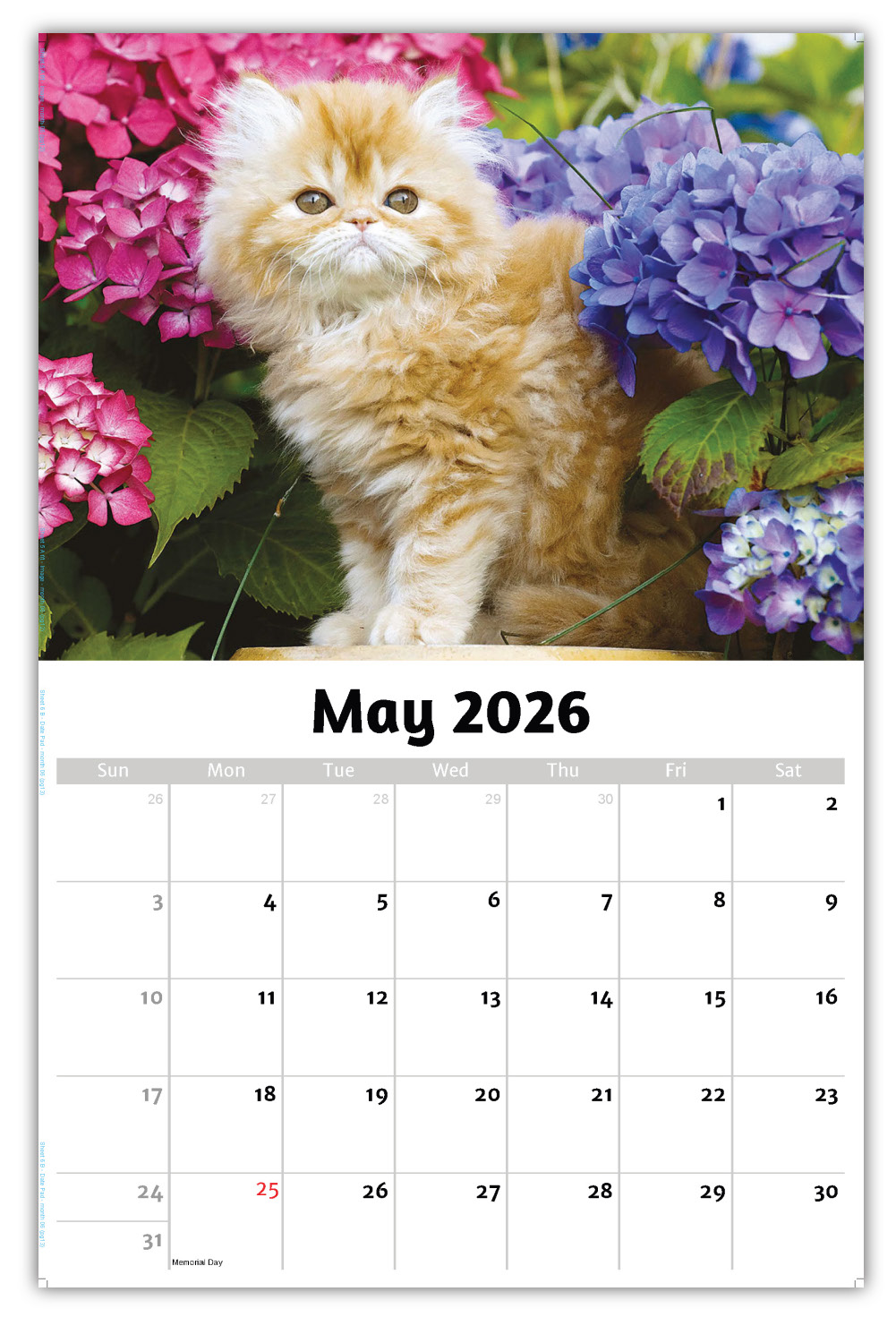 2026 Kittens wall calendar