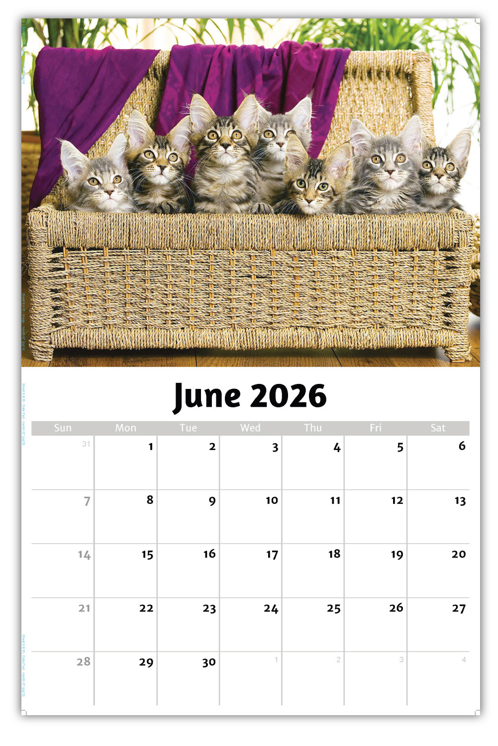 2026 Kittens wall calendar