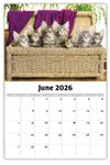 2026 Kittens wall calendar