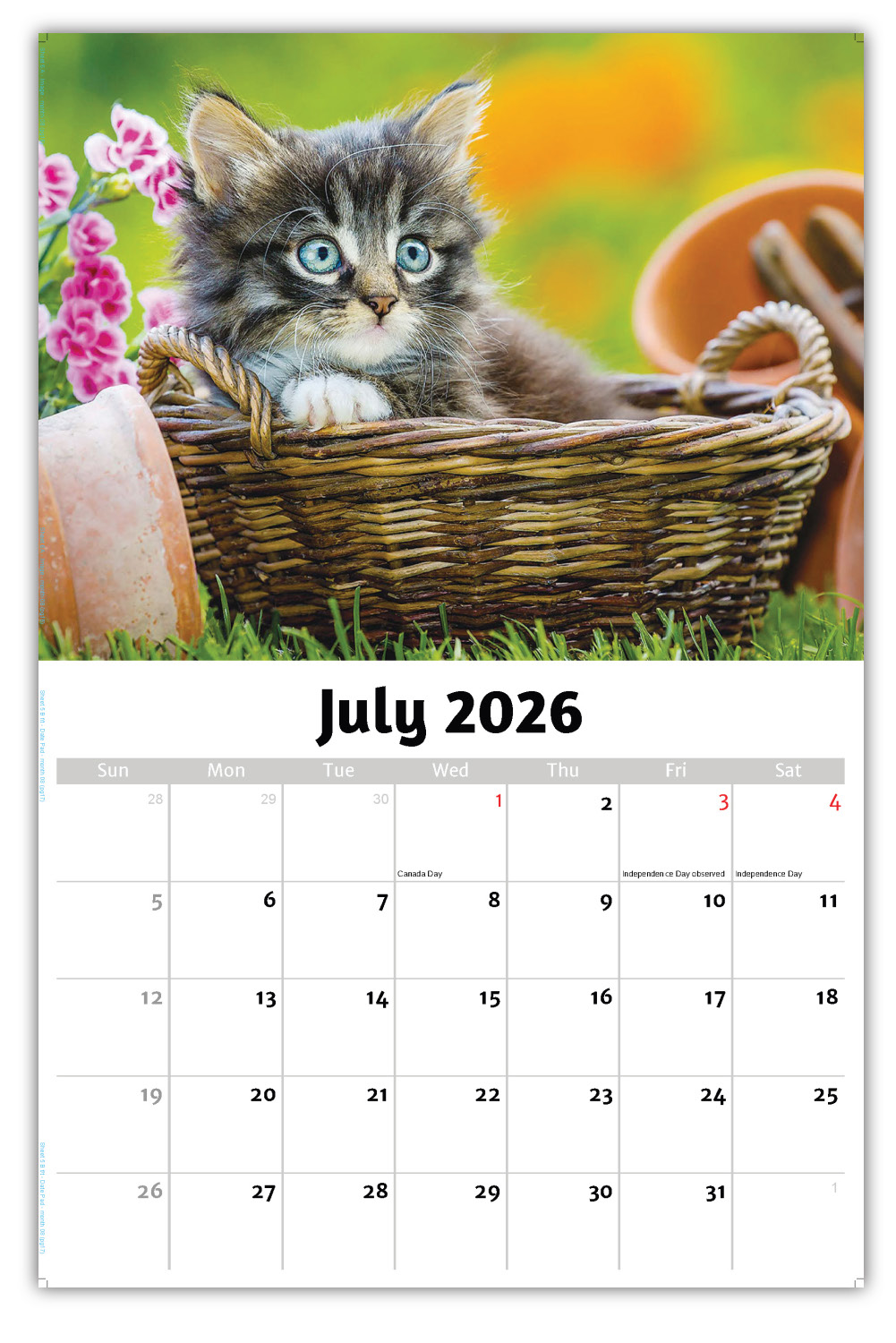 2026 Kittens wall calendar
