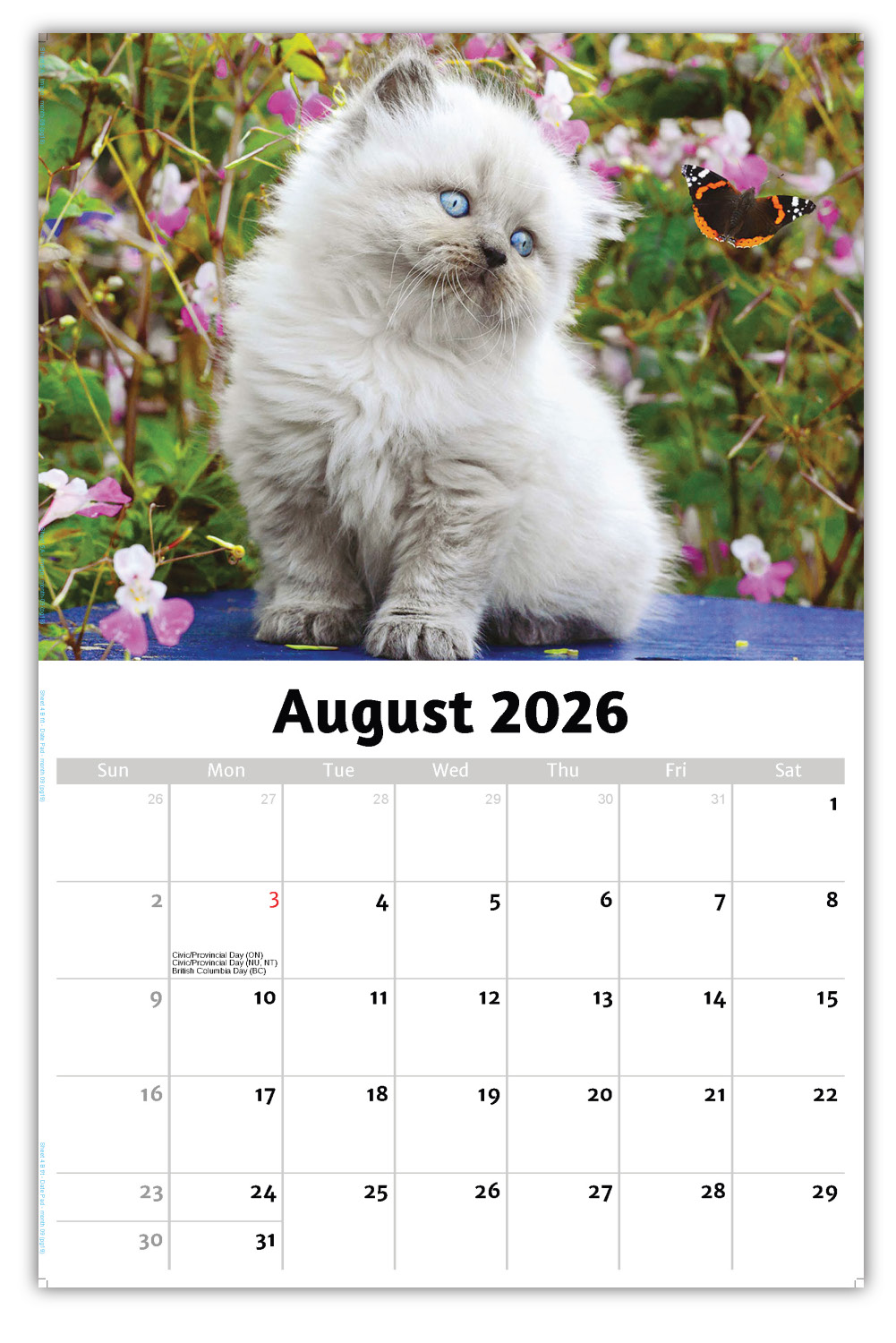 2026 Kittens wall calendar