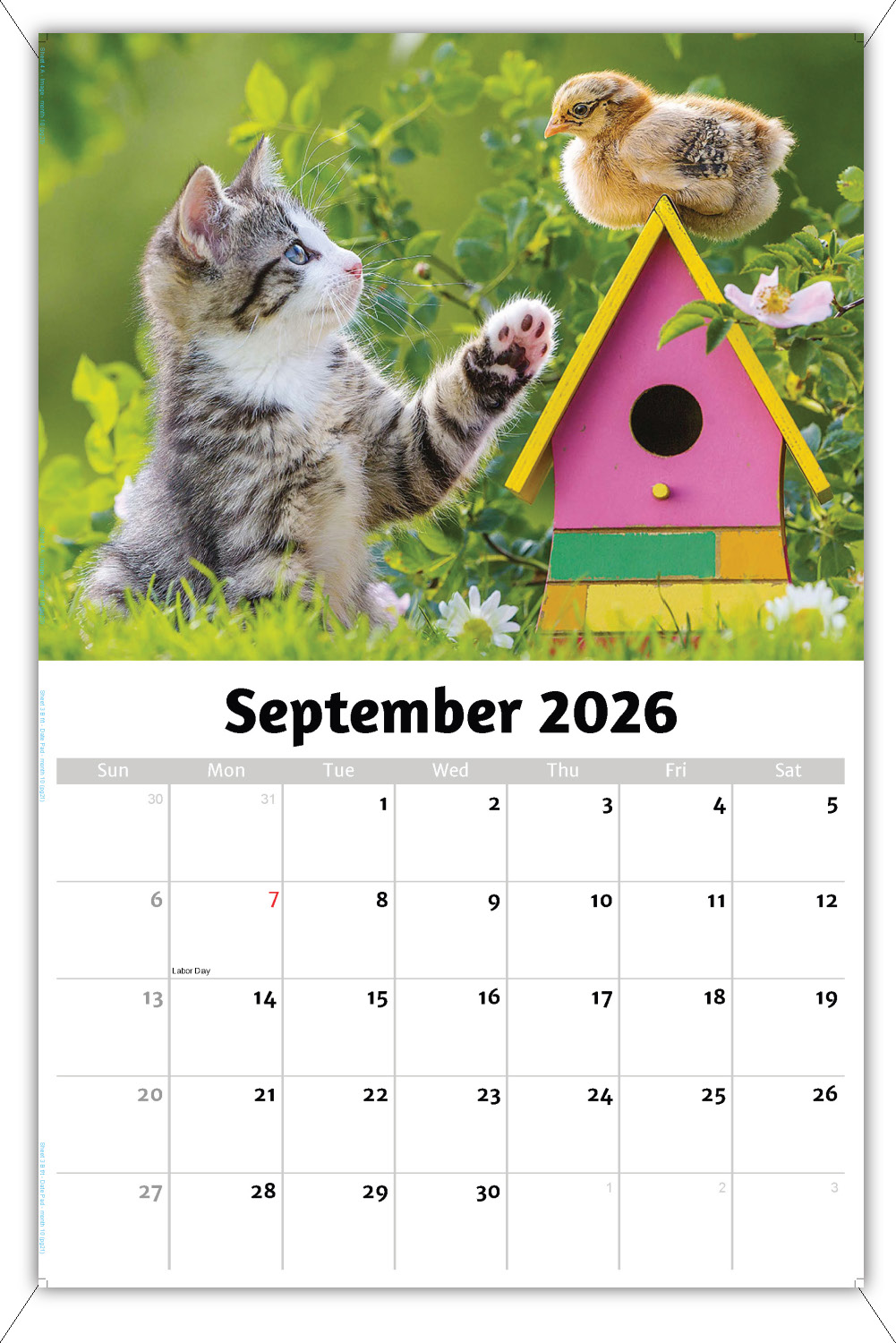 2026 Kittens wall calendar