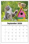 2026 Kittens wall calendar