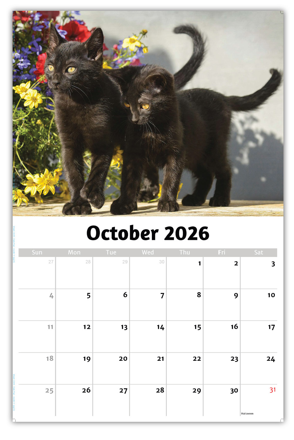 2026 Kittens wall calendar