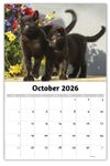 2026 Kittens wall calendar