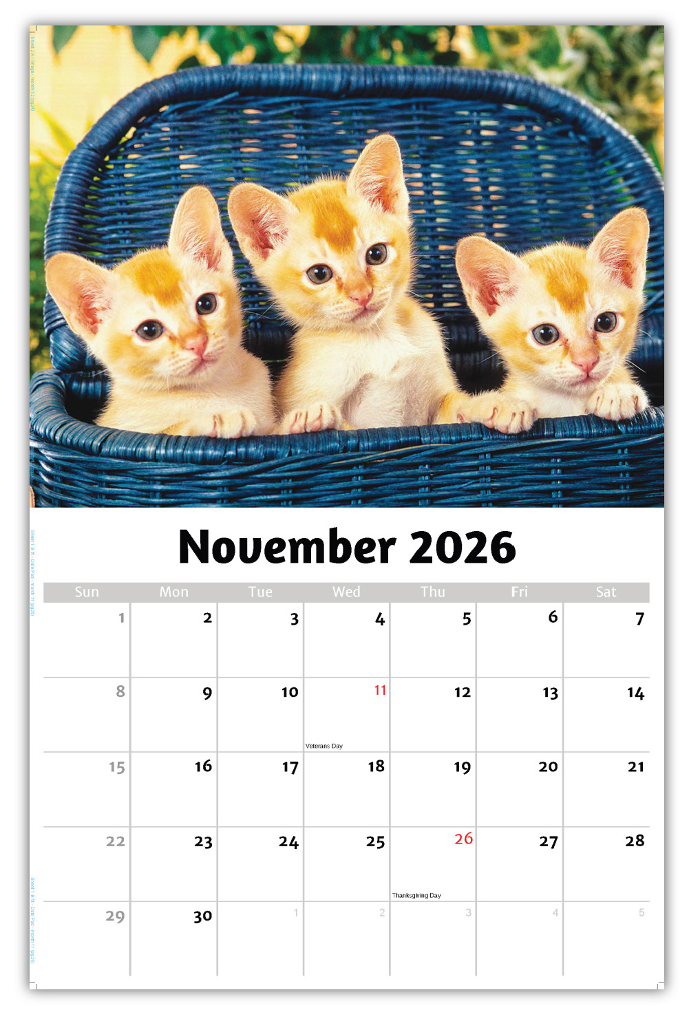 2026 Kittens wall calendar