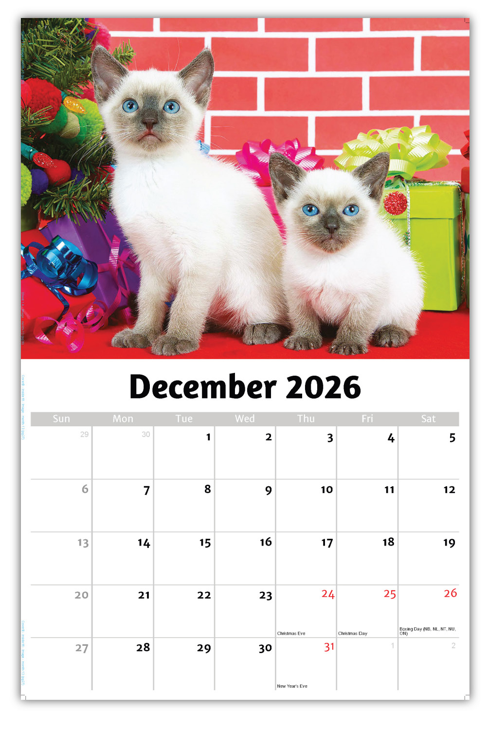 2026 Kittens wall calendar
