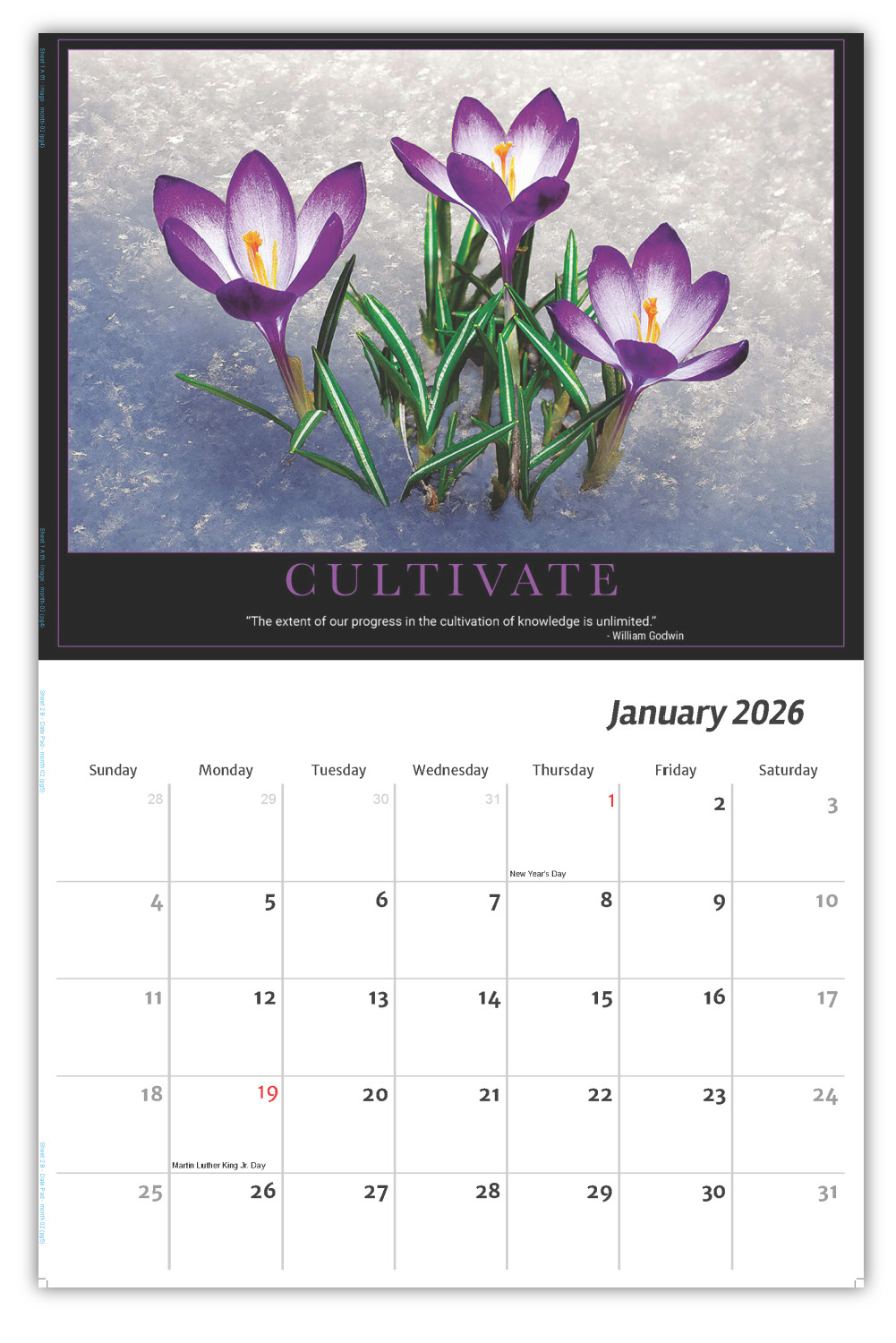 2026 Motivational Posters wall calendar