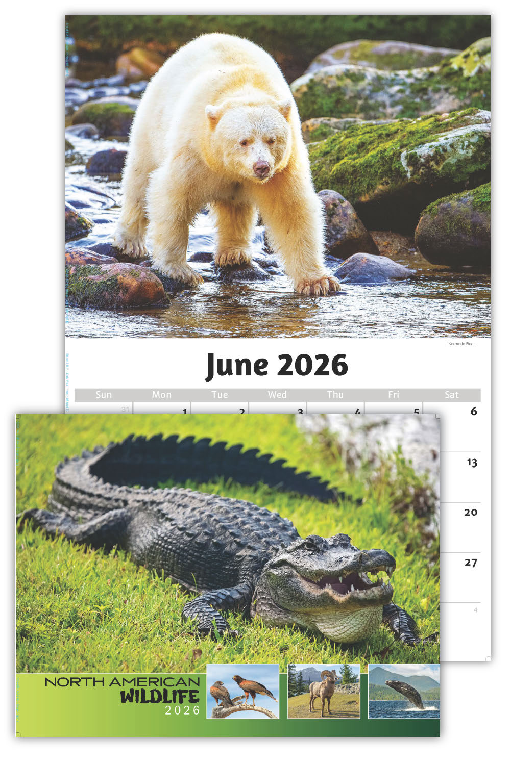 2026 Wall Calendar - North American Wildlife