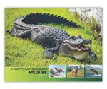 2026 Wall Calendar - North American Wildlife