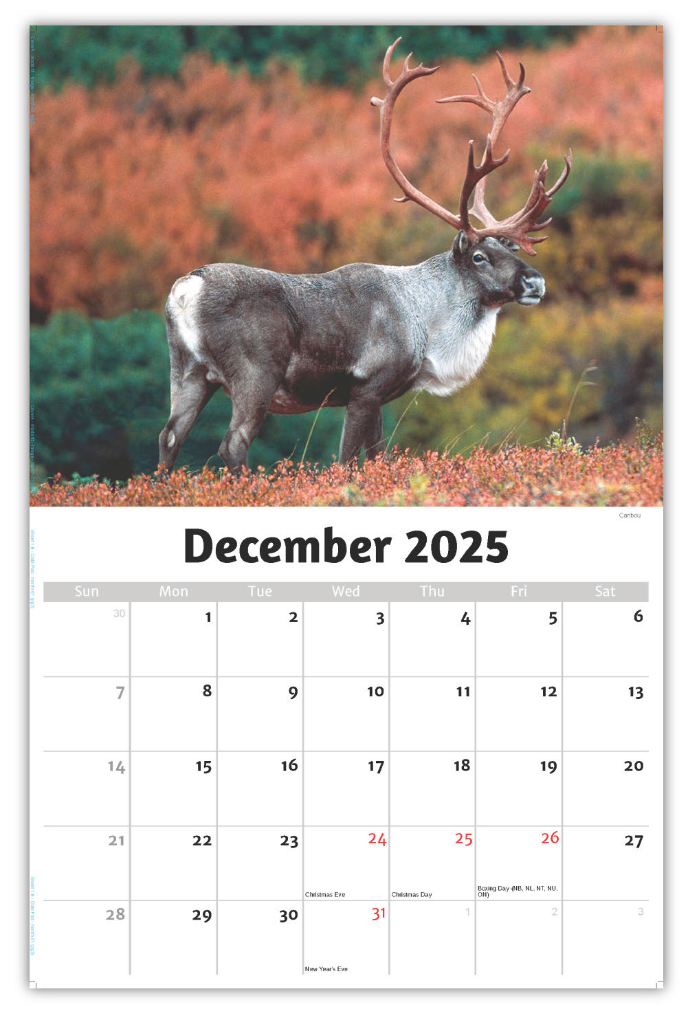 2026 Wall Calendar - North American Wildlife