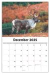 2026 Wall Calendar - North American Wildlife