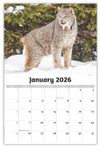 2026 Wall Calendar - North American Wildlife
