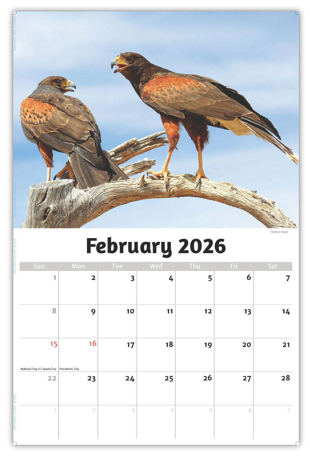 2026 Wall Calendar - North American Wildlife