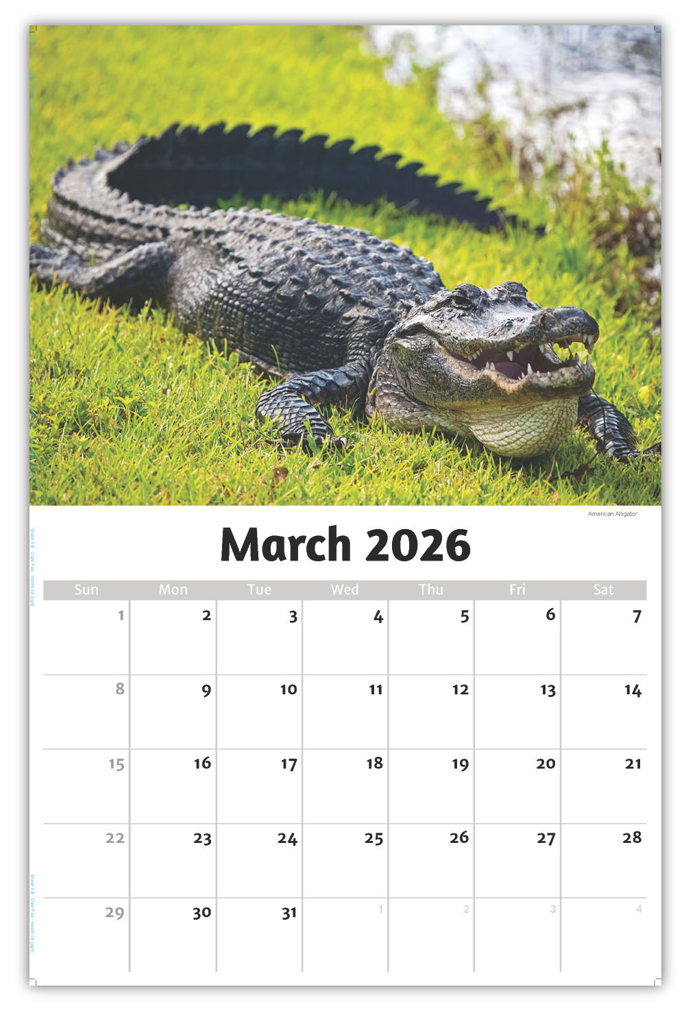 2026 Wall Calendar - North American Wildlife
