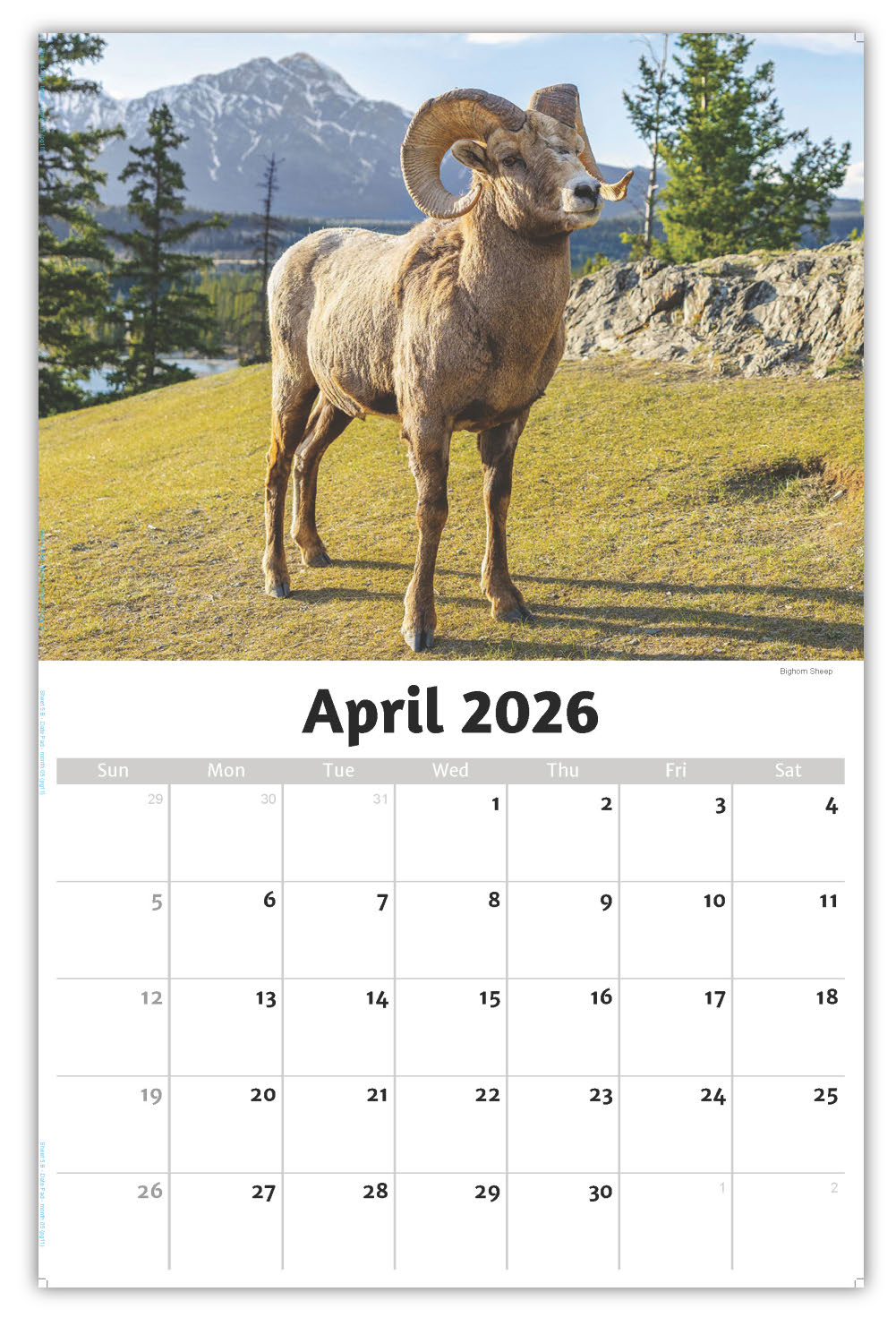 2026 Wall Calendar - North American Wildlife