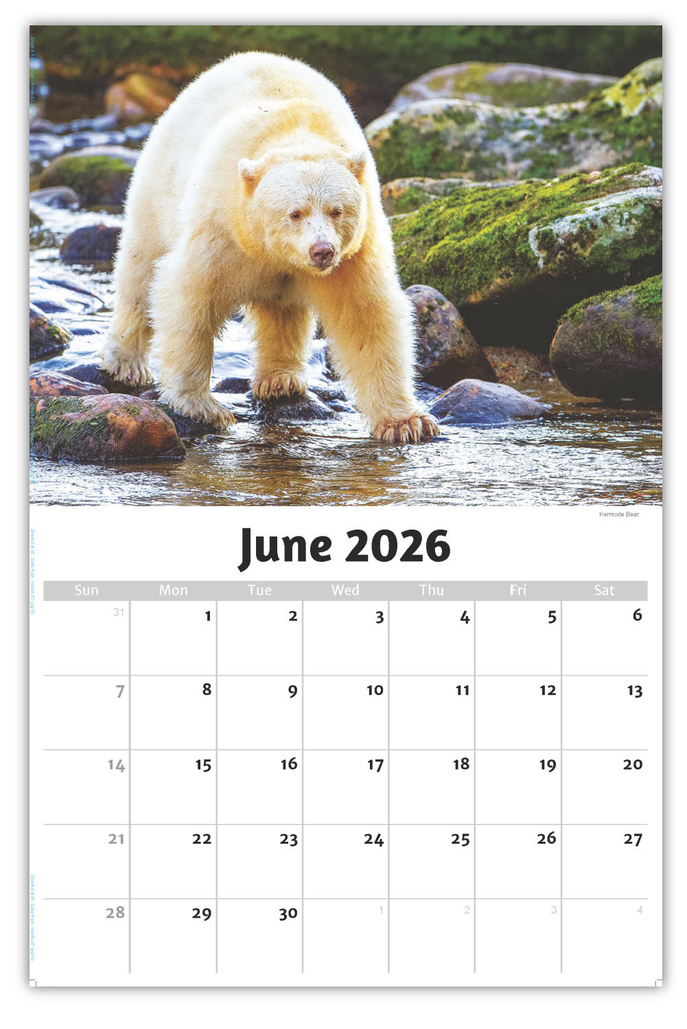 2026 Wall Calendar - North American Wildlife