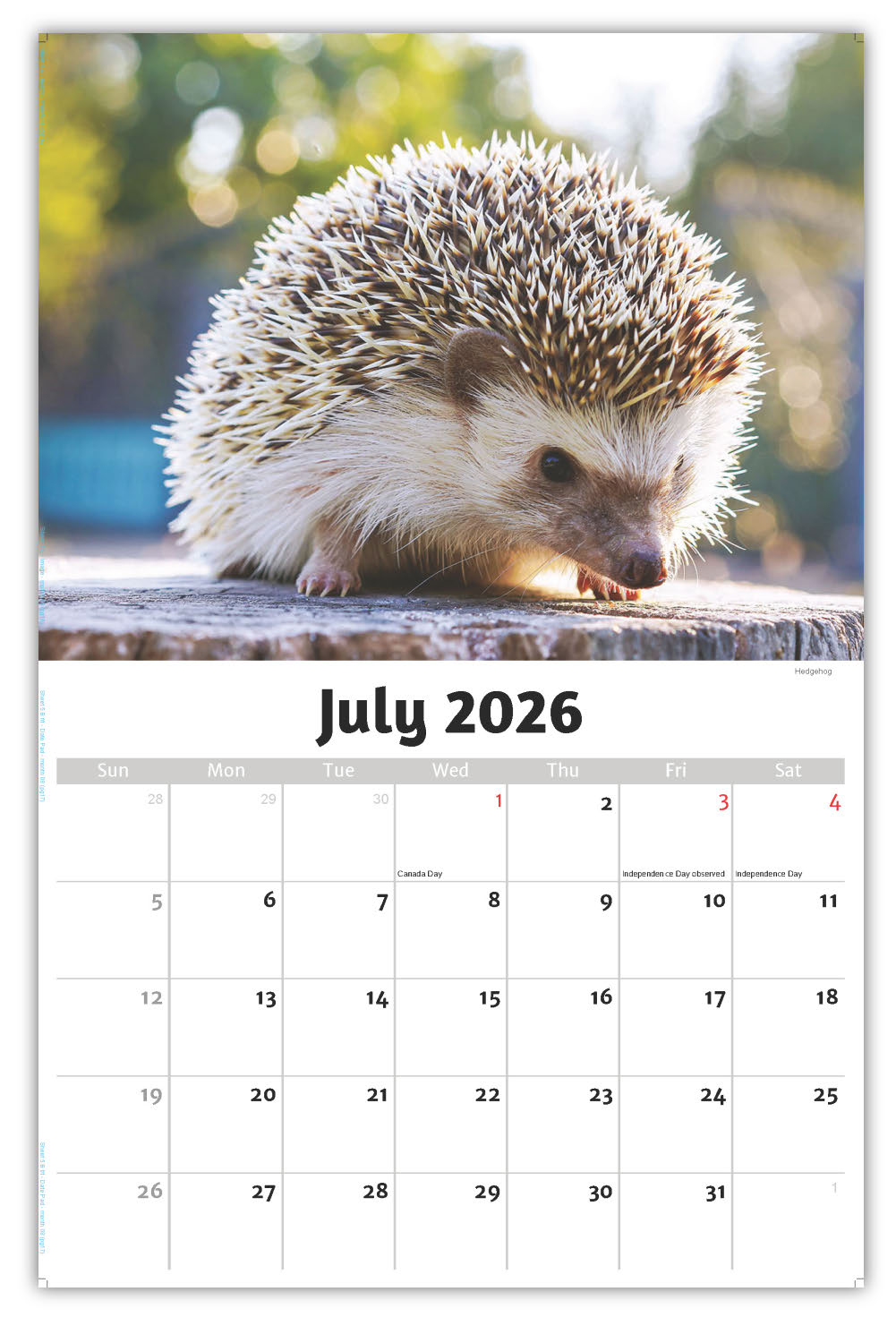 2026 Wall Calendar - North American Wildlife