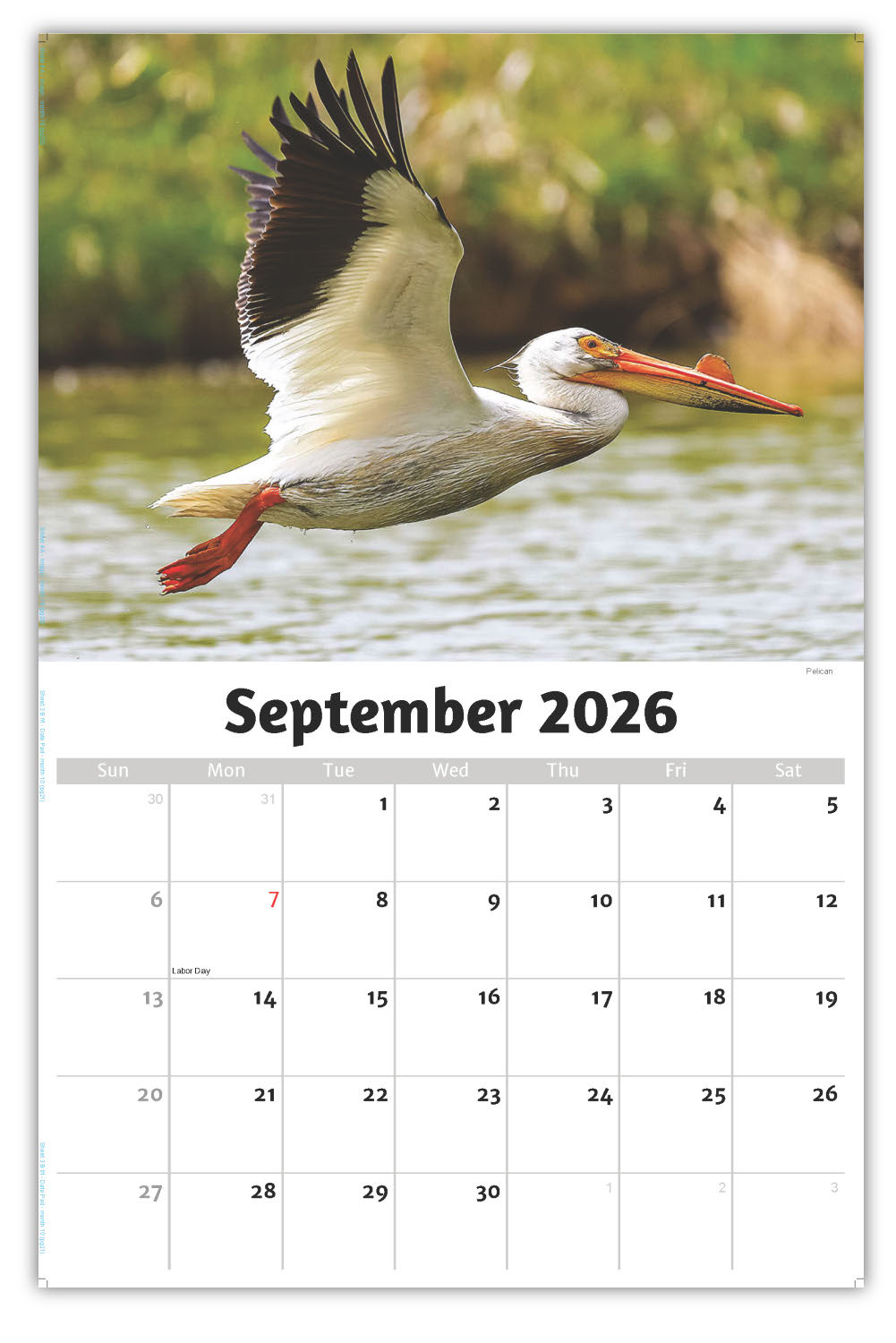 2026 Wall Calendar - North American Wildlife